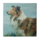 Search for rough tiles Lassie
