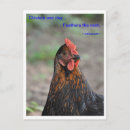 Search for bird sayings postcards Quote