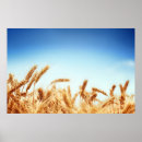 Search for sky blue background posters Backgrounds