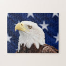 Search for american bald eagle puzzles Birds of prey