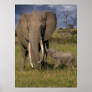 Search for elephant decor nursery posters Africa