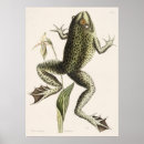Search for vintage frog posters Retro