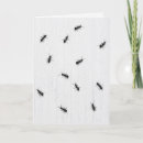 Search for ant cards Insect