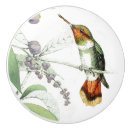 Search for hummingbird knobs and pulls Birds