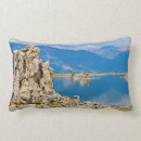 Search for danita delimont cushions California