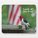 Search for bird watcher electronics Woodpecker