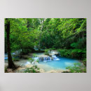 Search for beautiful forest posters Green