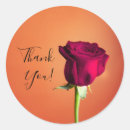 Search for orange rose stickers Elegant