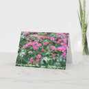 Search for pagan weddings Handfasting