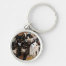 Search for bedroom key rings Baby animals