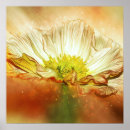 Search for yellow poppy posters Flowers
