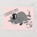 Search for cute pun postcards Cats