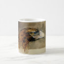 Search for golden eagle mugs Bird of prey