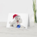 Search for toy poodle christmas cards Miniature