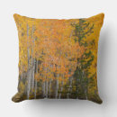 Search for aspen cushions Colour