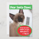 Search for funny pet christmas cards Red and green
