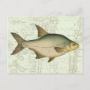 Search for leisure postcards Fishing