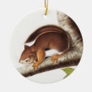 Search for mammal christmas tree decorations Wildlife