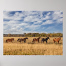Search for aspen posters Red