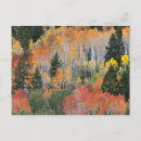 Search for provo postcards Colour