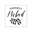 Search for fresh rubber stamps Fruits