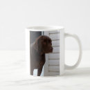 Search for chocolate labrador retriever mugs Puppy