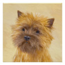 Search for cairn posters Brindle