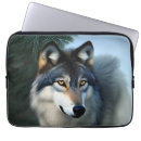 Search for arctic cases Fluffy
