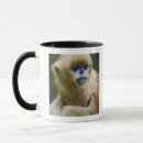 Search for golden eyes mugs Animal