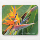 Search for pretty bird mousepads Floral