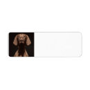 Search for school supply return address labels Back to school