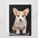 Search for corgi thank you cards Cute