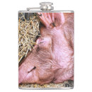 Search for hogs home living Cute