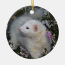 Search for pet ferret christmas tree decorations Weasel