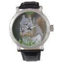 Search for squirrel watches Eating