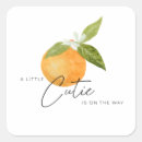 Search for mandarin orange stickers Modern