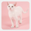 Search for young stickers Animals