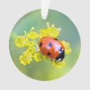 Search for lady bug christmas tree decorations Red