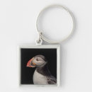 Search for puffin key rings Animal