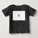 Search for orb photography Spider