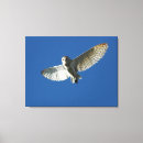 Search for flight canvas prints Usa