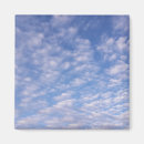 Search for cool square magnets Summer