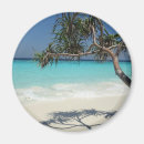 Search for scenes magnets Tropical