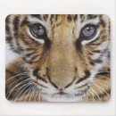 Search for species electronics Mammal