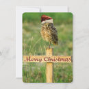 Search for burrowing cards Cute