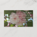 Search for cherry tree business cards Flower