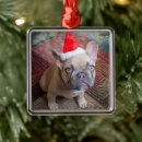 Search for french bulldogs christmas tree decorations Puppy