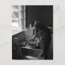 Search for kitchens postcards Animals