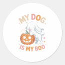 Search for crazy dog stickers Kitten