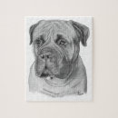 Search for bullmastiffs Animals